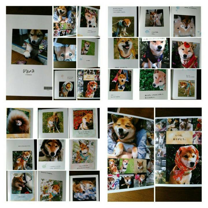 0e2b1168 2d99 49ec 90a8 6df26bc6864e