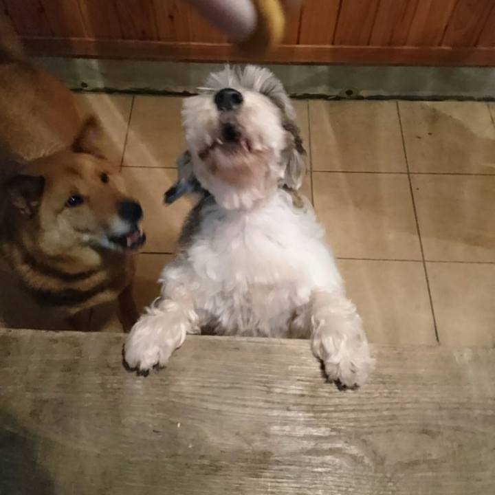 0e2ba47b be3f 4622 a08d 17c4958c103f