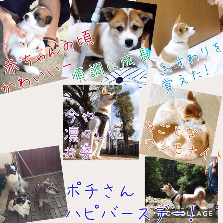 0e2bdd33 fa16 4795 aade 96a8797e1a86