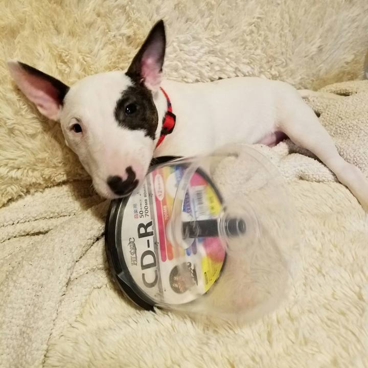 0e2c4604 ca28 433a a4bd 439a5bc9ab63