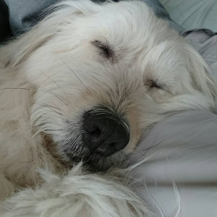 0e2c5c7a e391 4eb6 9b01 66ecd881240b