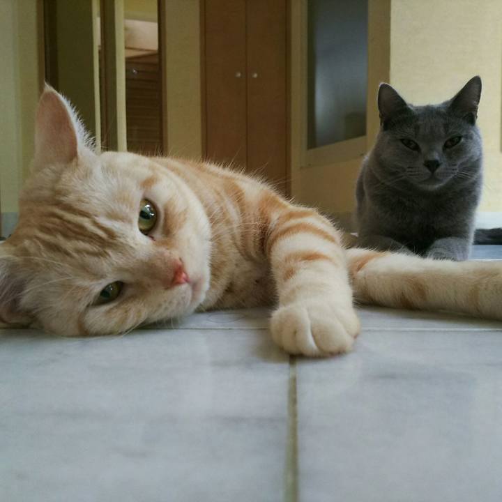 0e2e2d20 6d54 4eb3 9c1f 2daebd5c0416