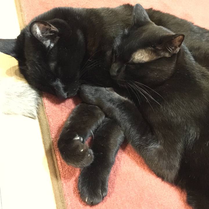 0e2e43b7 afe0 49a1 a43a d882b9d56fc6