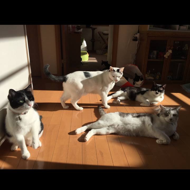 0e2eb536 ded6 4dd4 ab72 087dbc6b1db9