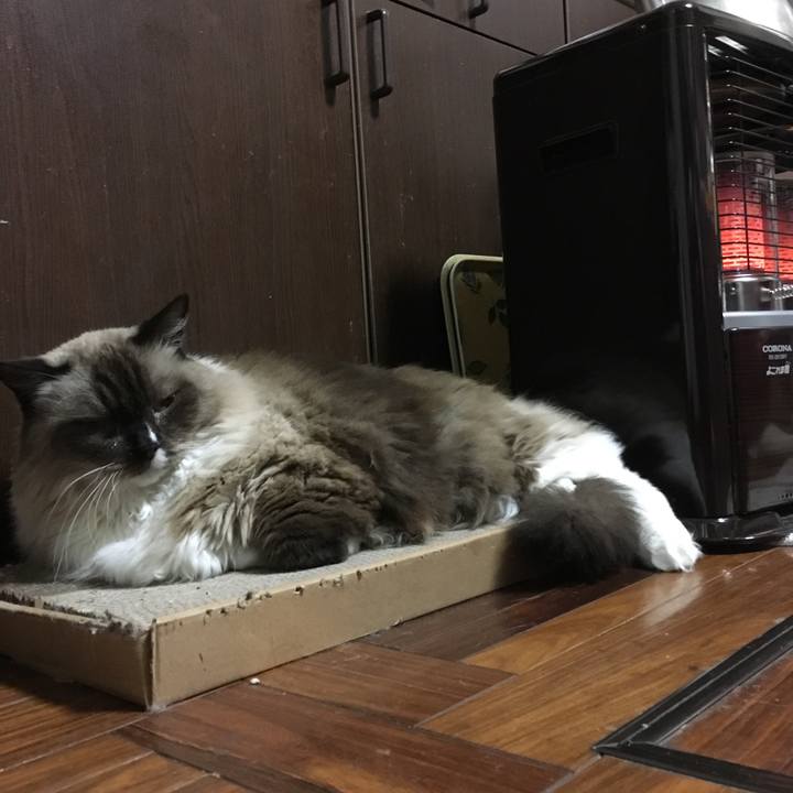 0e2edb5b e390 400a b861 558e14696501