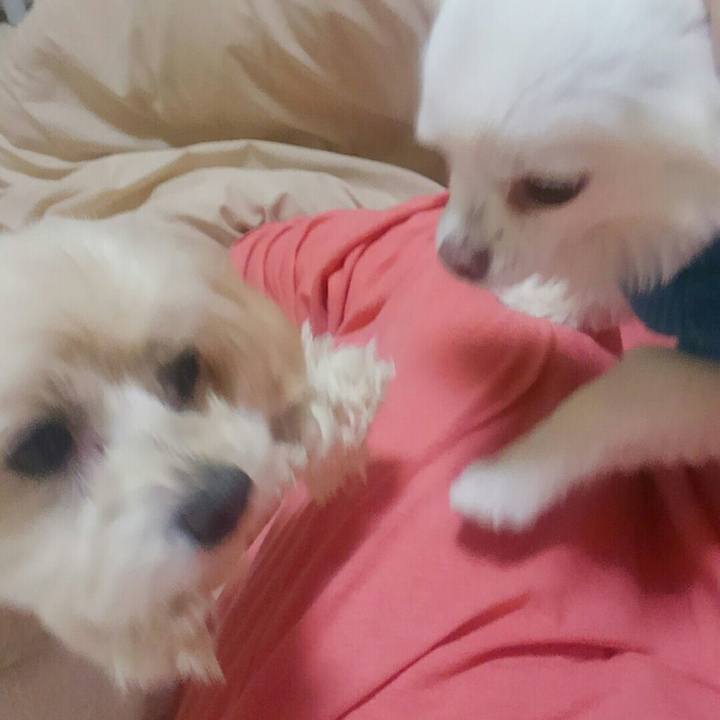 0e2ee800 974c 4ebd 8557 4c86694741ec