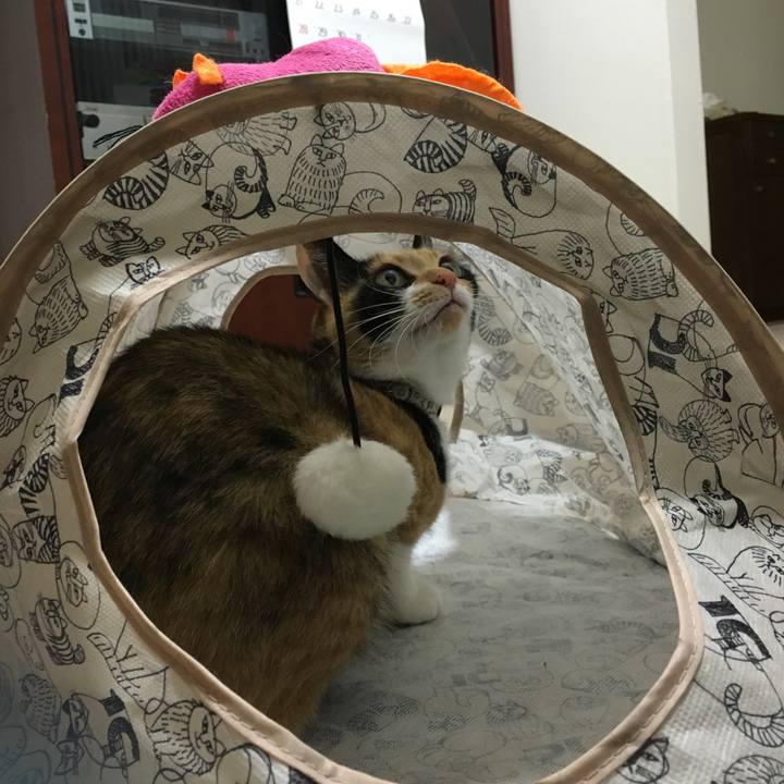 0e2eead7 2851 4b73 8c56 1854d12fc12b