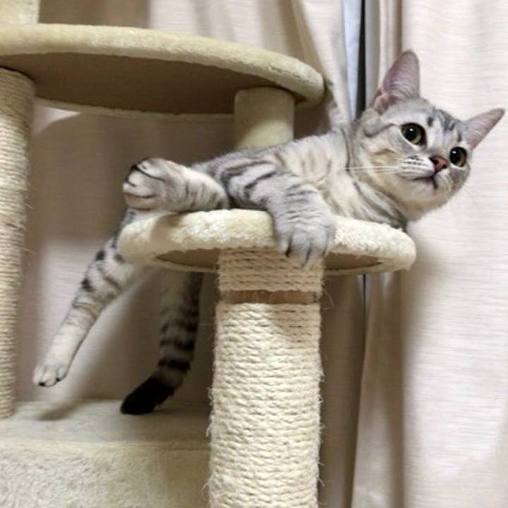 0e2efe16 be99 4a58 8664 c5884a8771b9