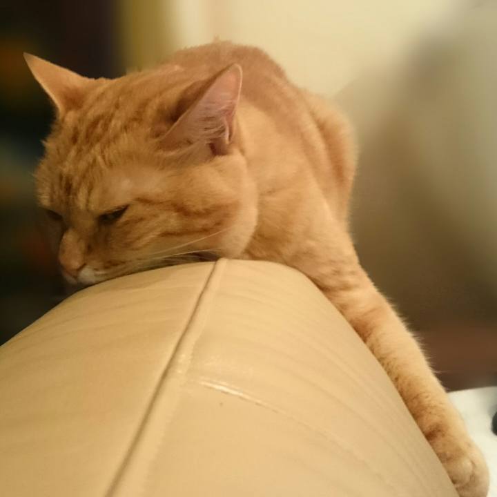 0e2f12b0 4c8b 4cdc 877a afb6248bbe5e