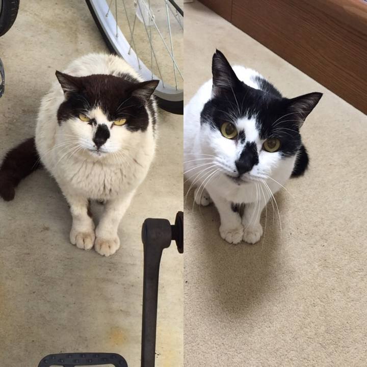 0e2f34e8 ac15 406b 99f3 e1ec0042badf