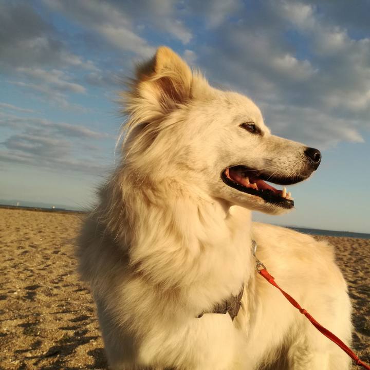 0e30003c 7476 4abd bab8 f76f268b33d2