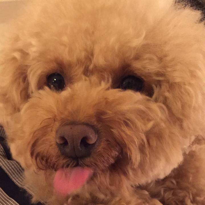 0e3017b6 c9b4 432d b756 6fc4b5efe756