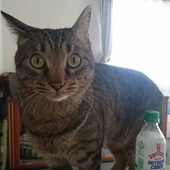 0e314948 305f 4730 9baf 505af1a9ed42