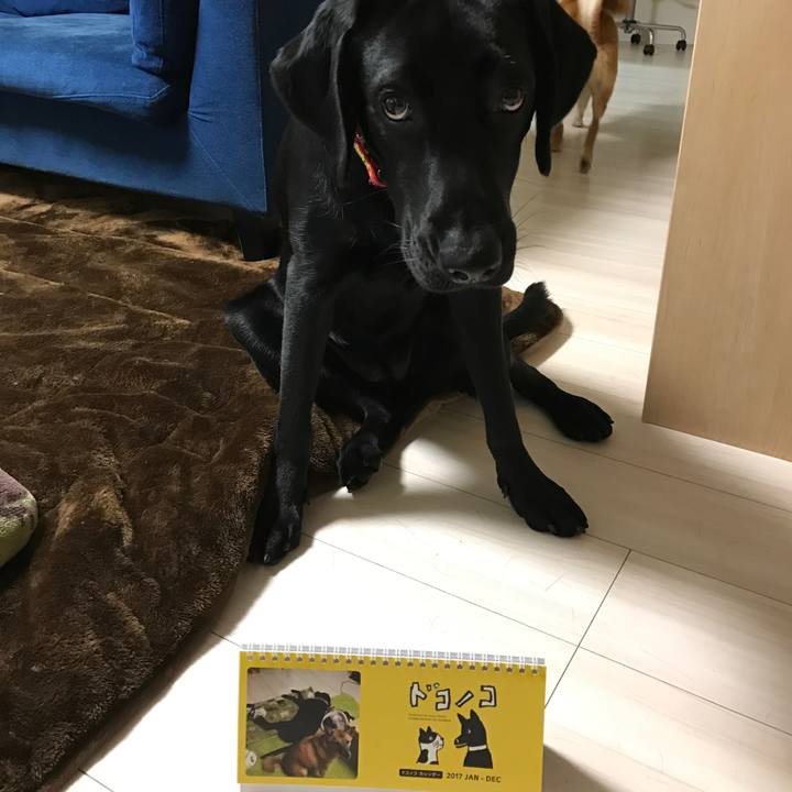 0e31d08c 8e71 4241 8586 4183c503985f