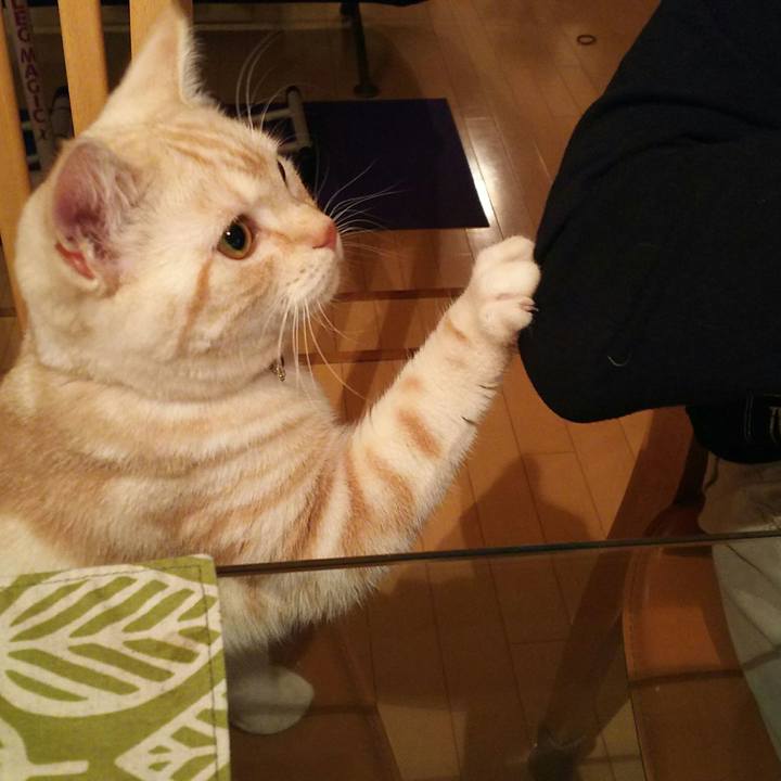 0e31eed9 7a6b 40ee 90fd b3aac475229c