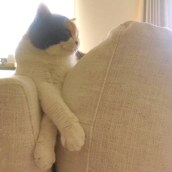 0e3280b4 30ee 49b2 bacc f079cd321acc