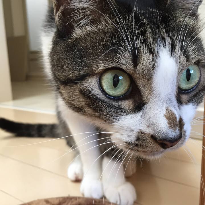 0e3291ab 2b75 4cba ba90 ccbbd9fd2d89