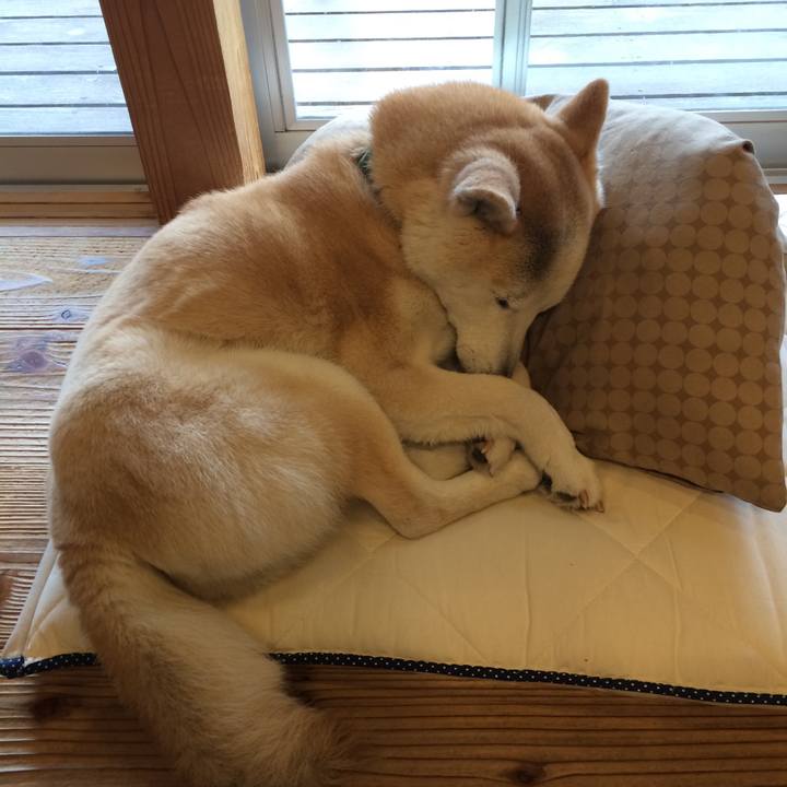 0e330cf5 f4f7 4dad a91f 4080e07884ab