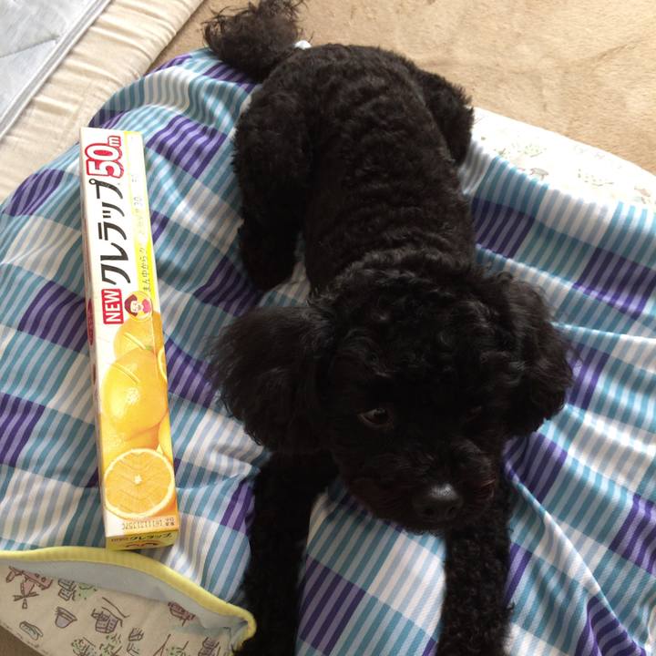 0e331fa2 f2e4 4c8d a86c 397bd11e8437