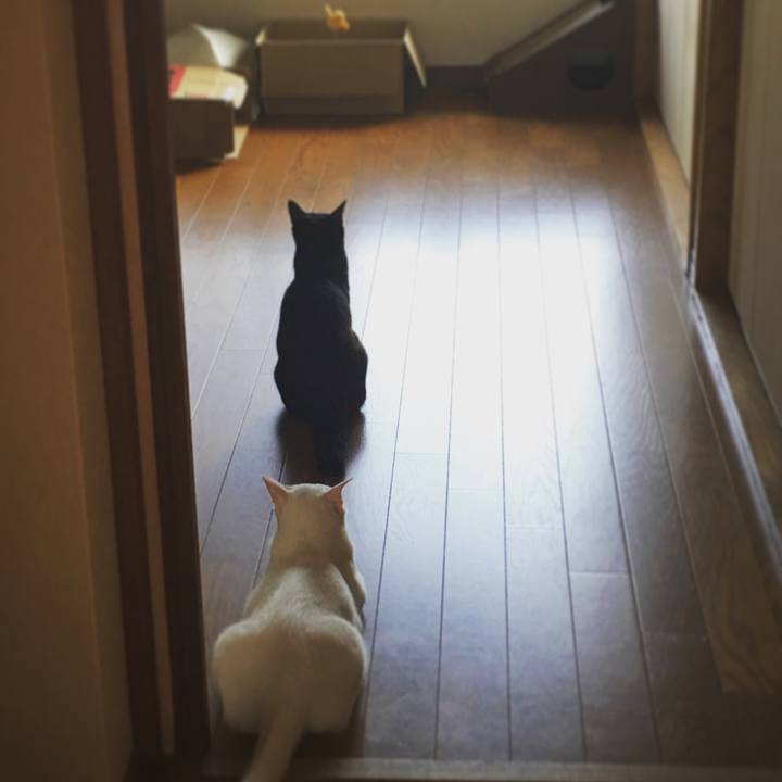 0e336dc8 6e7e 4862 b37c 0130572b0ff1