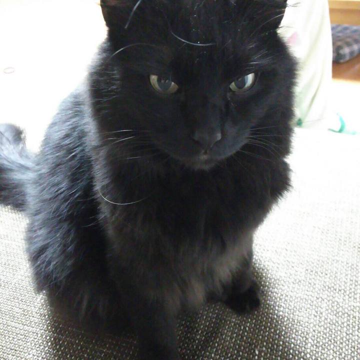 0e3390de 9010 40bd abc0 e71d11fdbb15