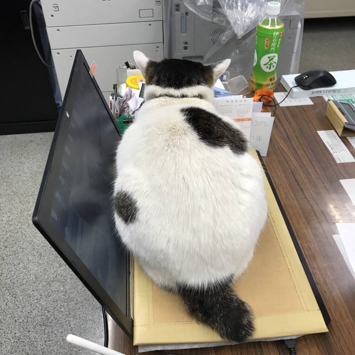 0e3409fd d384 4ab3 a052 9763073b0115