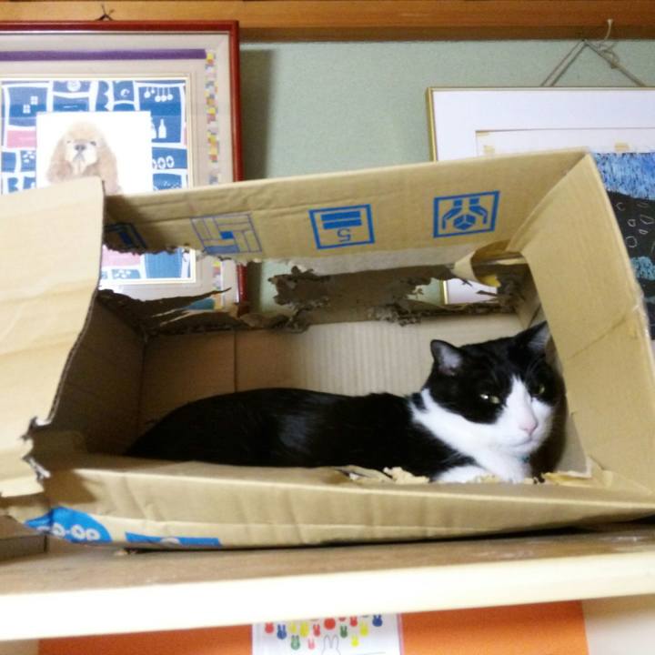 0e342d82 01c4 4047 a6c0 70f89dc68606