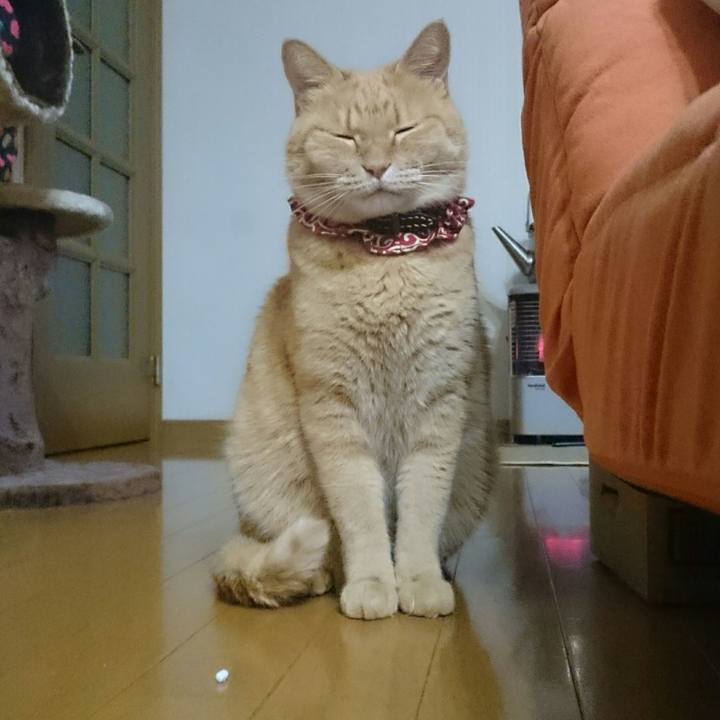 0e343764 c9c3 4387 afdb 203881b12ec9