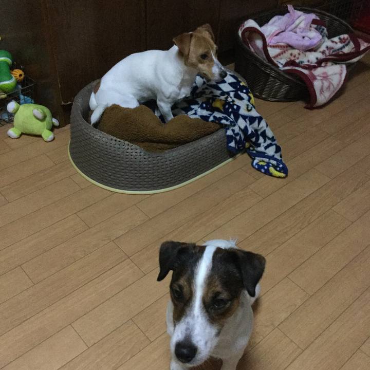 0e349ff8 c1d3 421e a991 e077898152ac