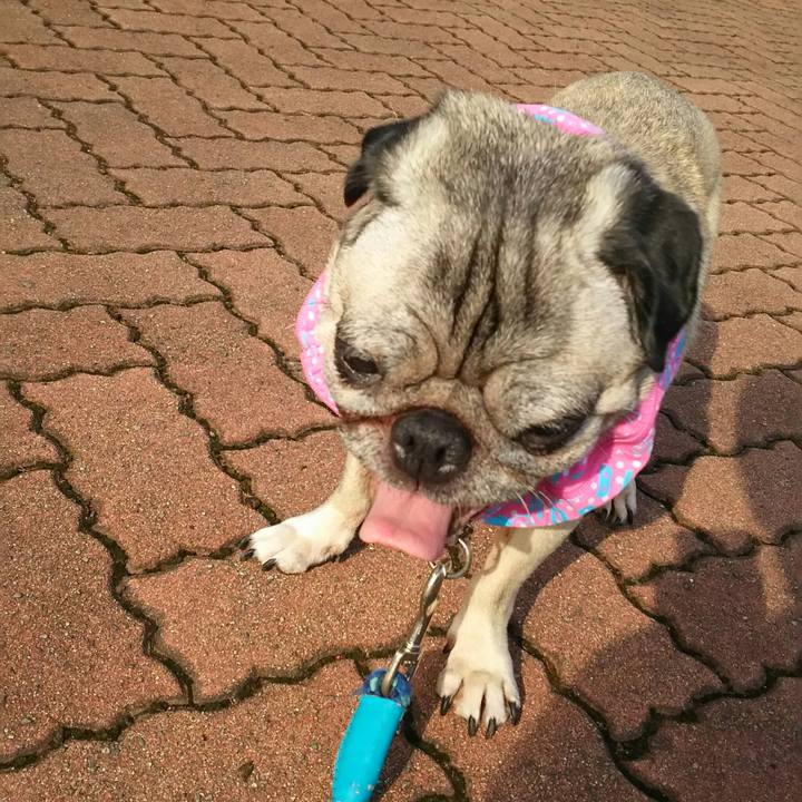 0e34c610 f56b 4c96 bd73 f7a28b5ae483