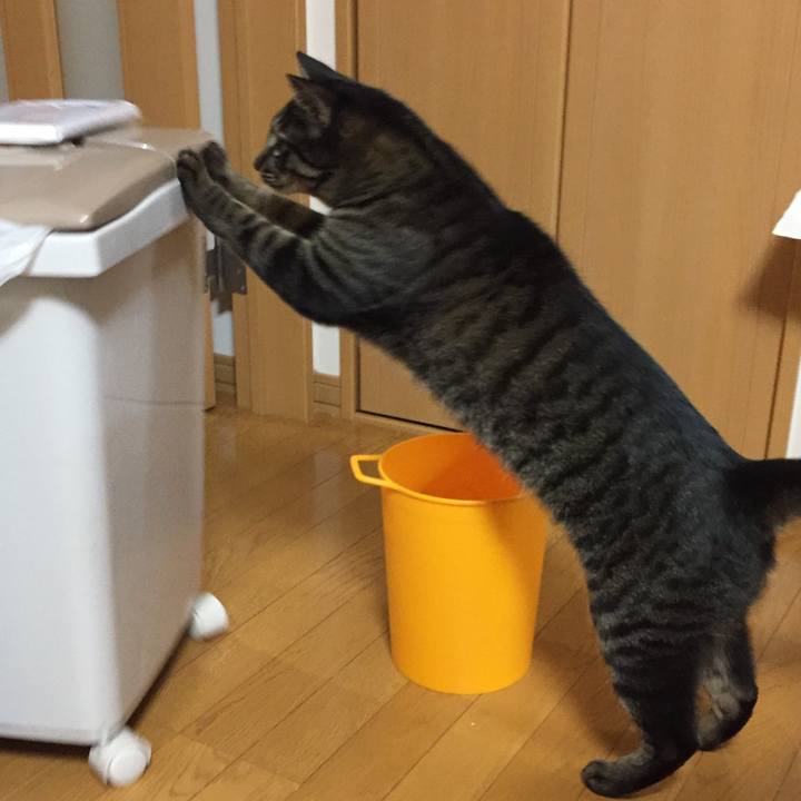 0e34d74e 3403 4189 a5a4 c3c7d8782410