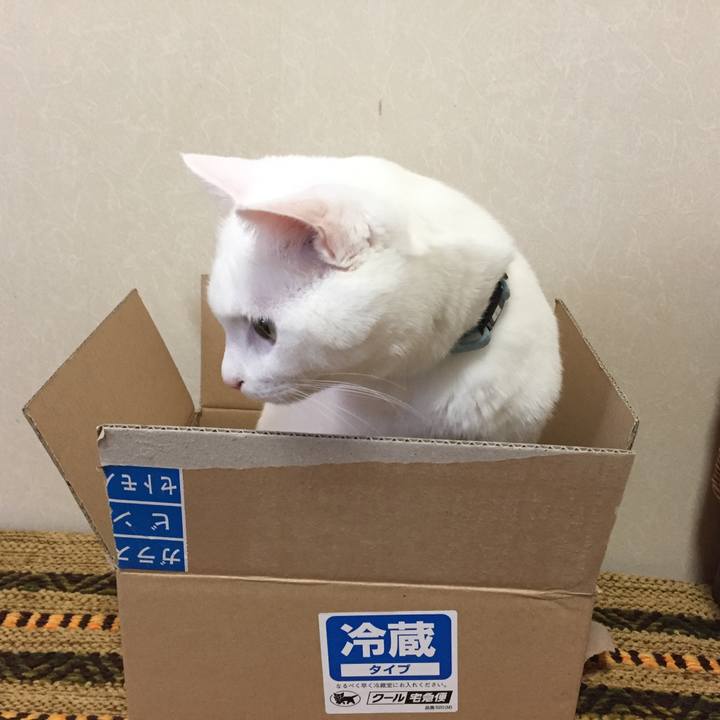 0e34ff49 55de 4f4e 9f27 ae106854923e