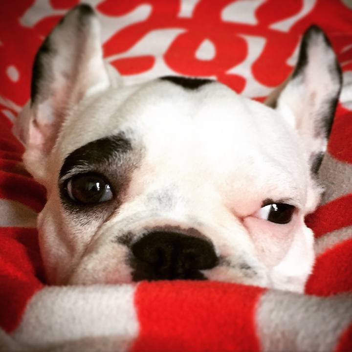 0e359bab dce4 4ab5 a133 1b706204ec11