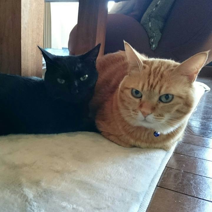 0e3643c2 64c7 4d83 9fba e386a5672219