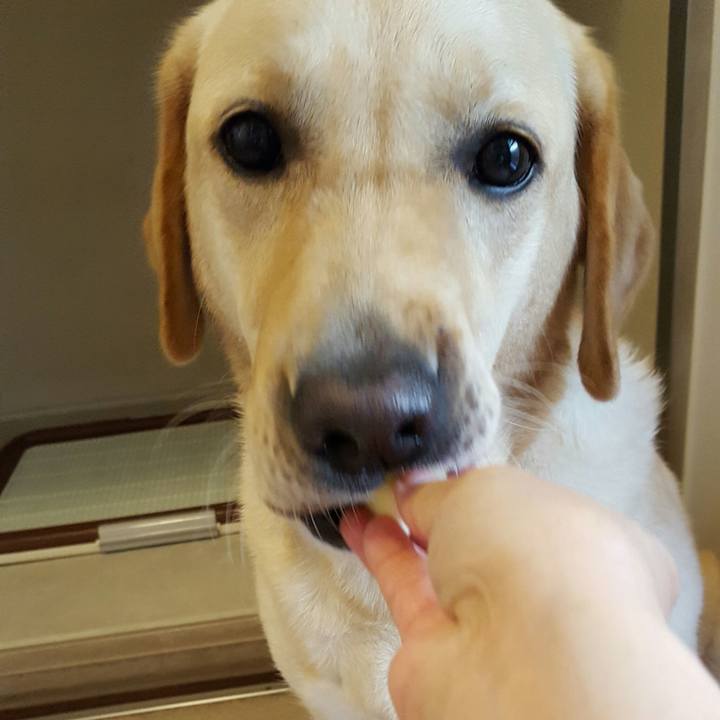 0e377304 af18 4ec3 9bfb 38fa202decea