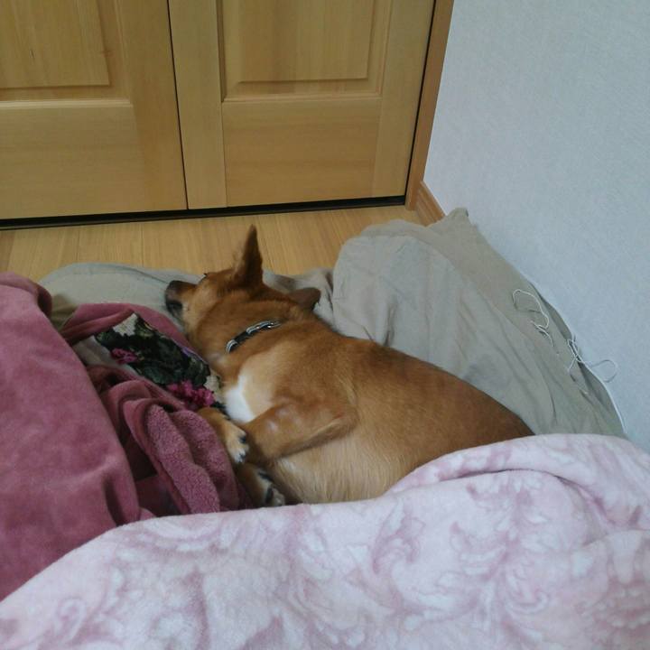 0e37a60d 4f46 4a84 b8f1 3d39b2997e78