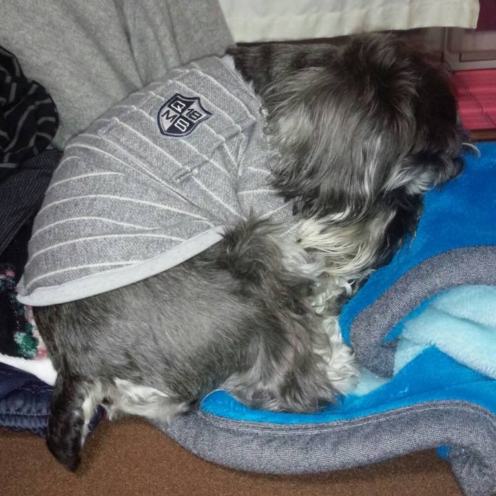 0e382027 060a 4432 b41d aa61750bc59d