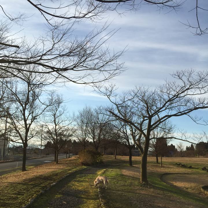 0e388783 0ca4 485b 9f9b 2a2853545872