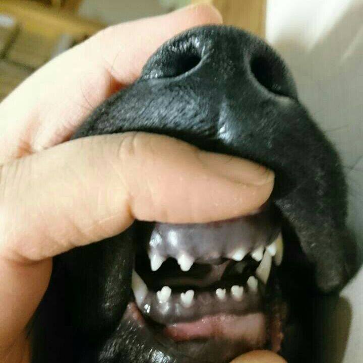 0e389cee 7079 4e31 91ac 7a8f2af96af9