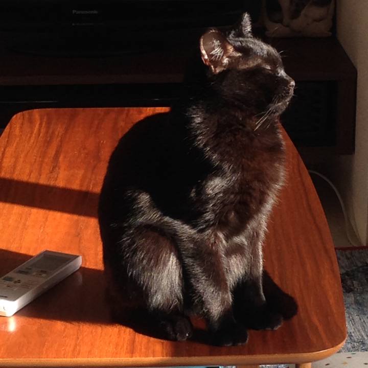 0e38b7de da50 4e5a bfa5 569e13236492