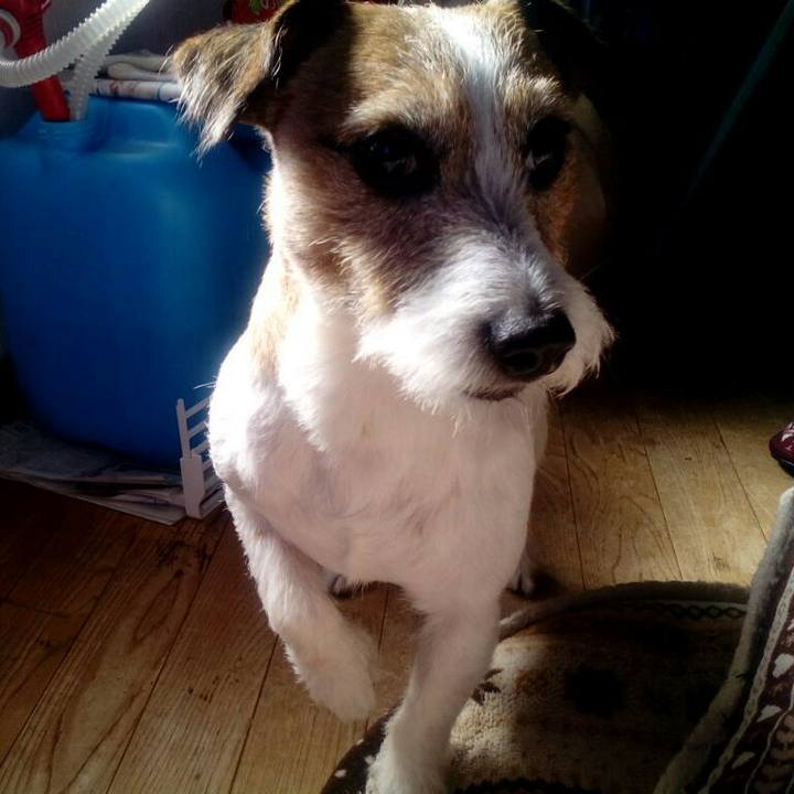 0e38bedf 0708 40d1 995d c3bb5149eb81