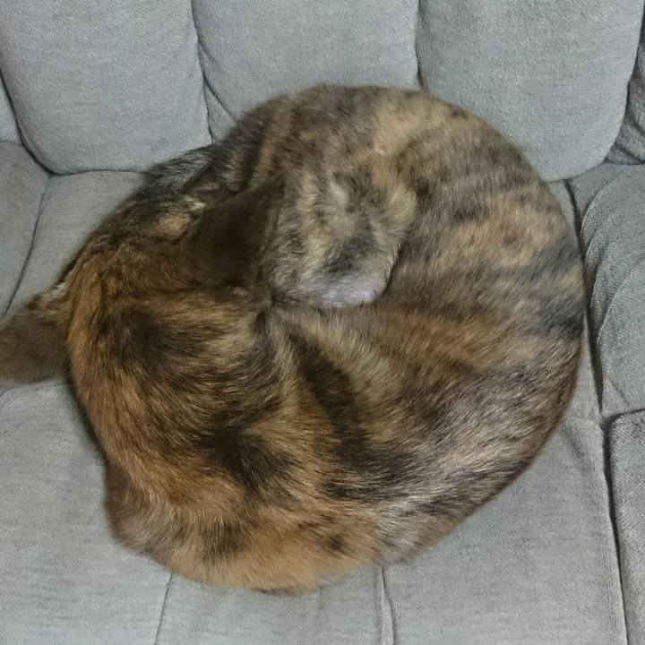 0e38f0e5 fa77 4c20 ac3b f1c360974121