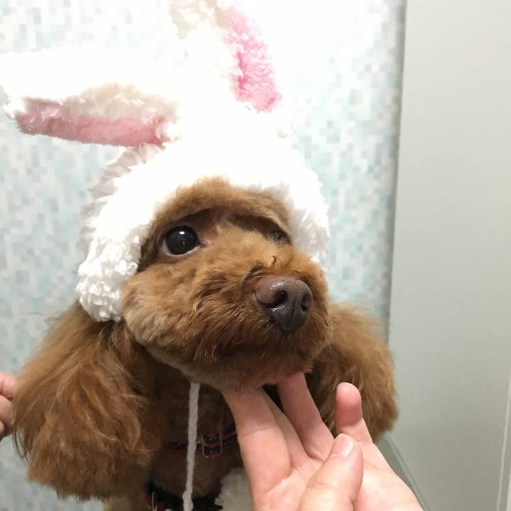 0e38f2f3 e912 4ef8 b2f2 64d6053e43e7