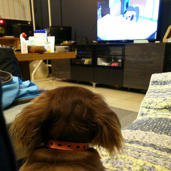 0e392234 8d68 4164 8350 7bc4453451da