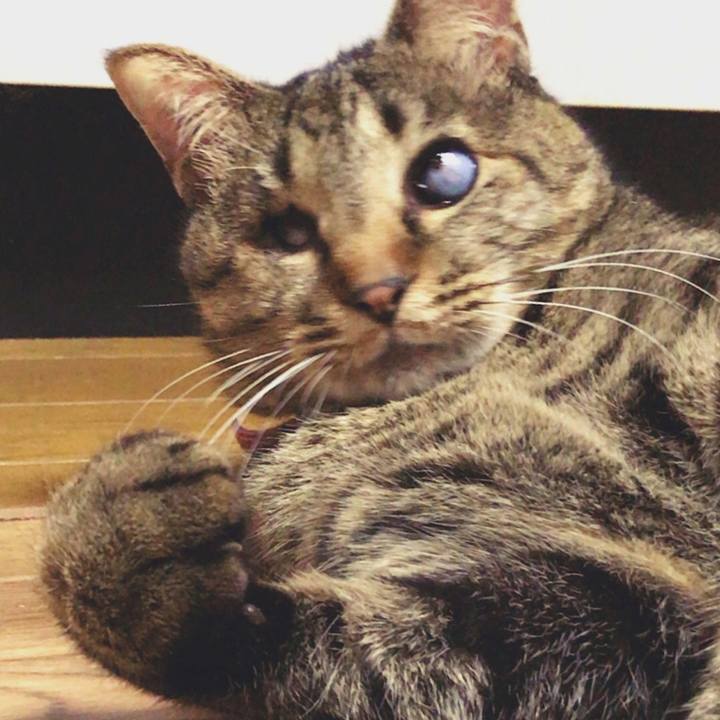 0e397ee3 77c4 4d96 a99f 61a38d0cce57