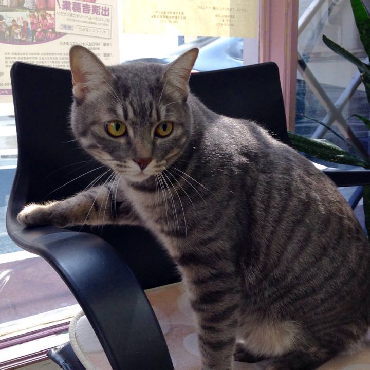 0e39a802 80d3 4216 accf c075d24fbee2