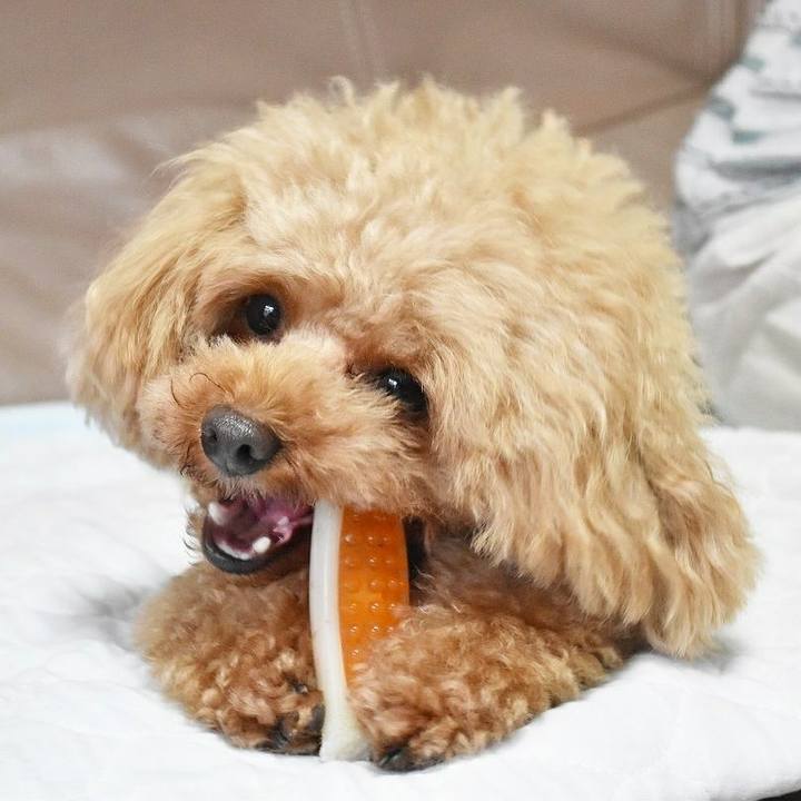 0e3a34b8 1145 4f28 a8c3 ee5c7b1f680a