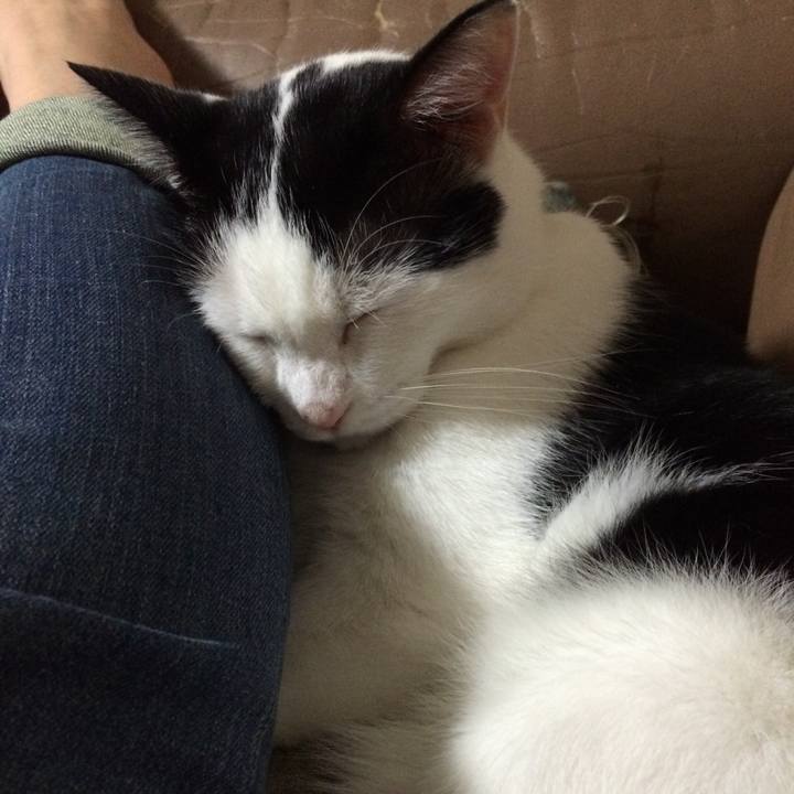 0e3b24a5 f089 4467 9a83 1914aabd2f22