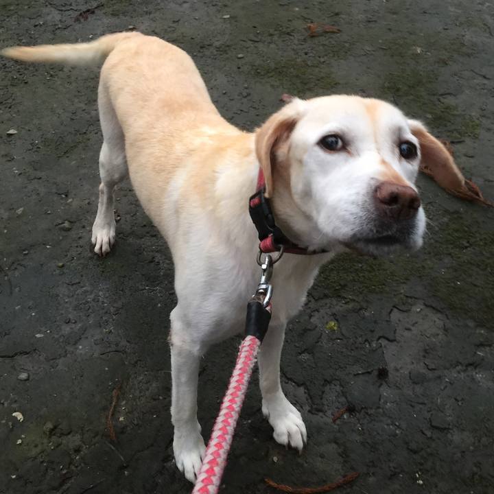 0e3b2d9a aa0f 4a56 893f d9b03124140e