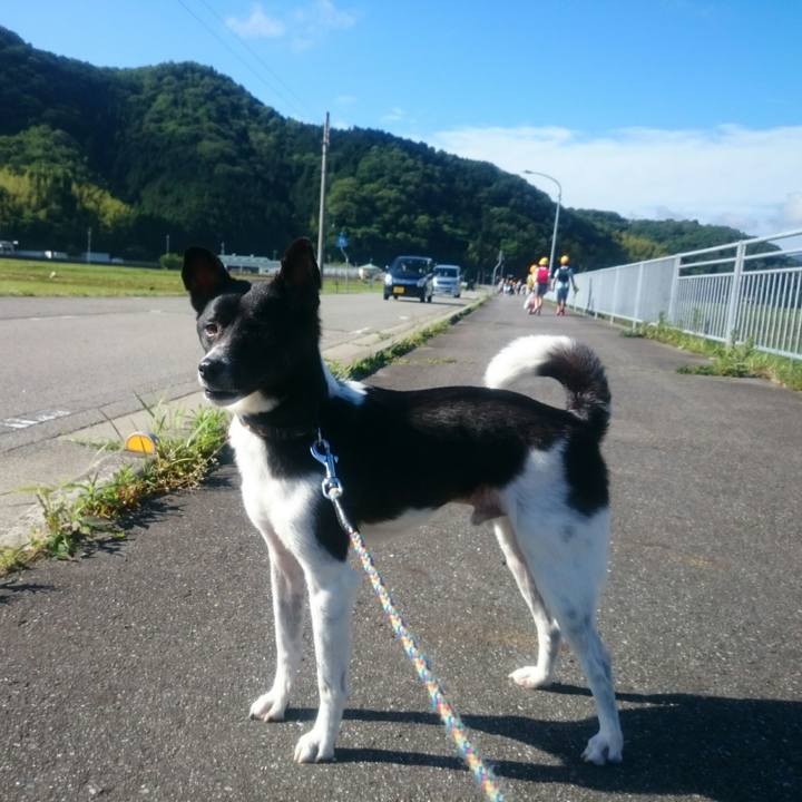 0e3bd162 7b4f 4cd3 ae98 83c0e1b39fb5